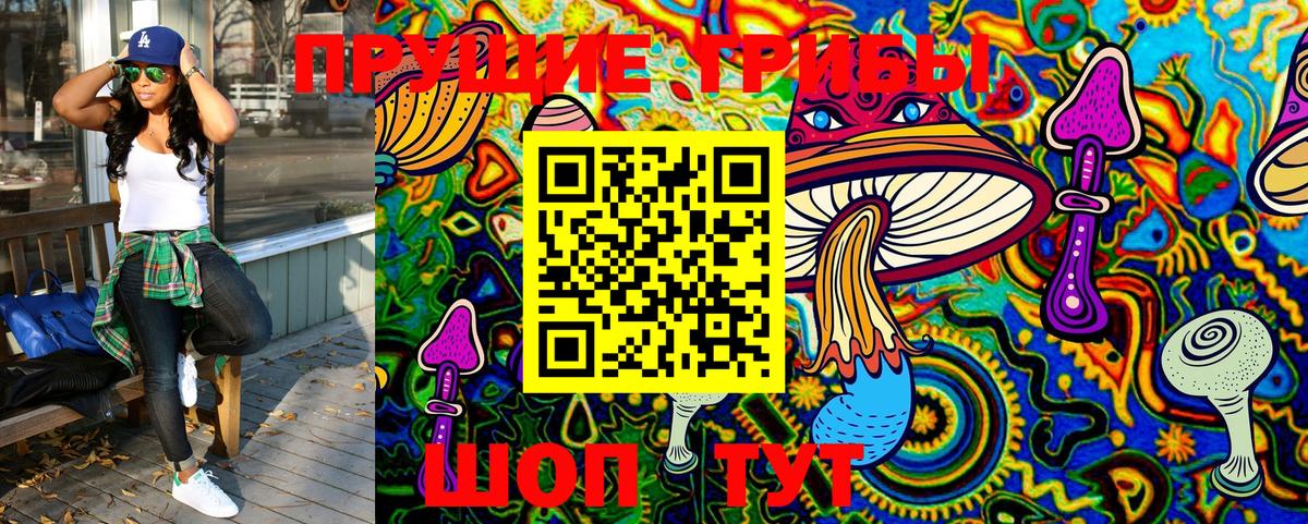 Псилоцибиновые грибы GOLDEN TEACHER  Вход с VPN  Новокуйбышевск  Галлюциногенные грибы ЛСД 