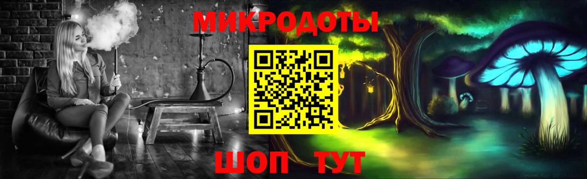 Псилоцибиновые грибы Psilocybe Новокуйбышевск